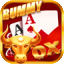 welcome bonus rummy icon
