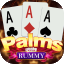 rummy crash icon